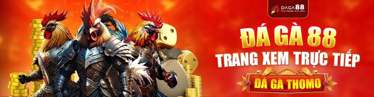 Trải nghiệm sòng bài trực tiếp chân thực với dealer tại Winwin Code